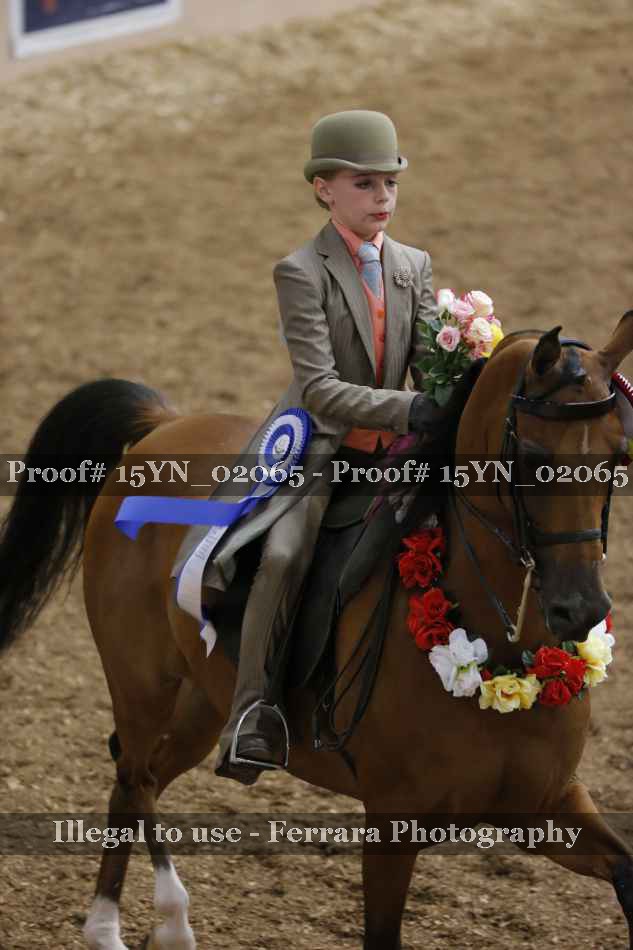 Proof 15YN_02065