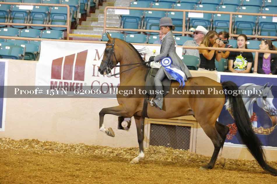 Proof 15YN_02066