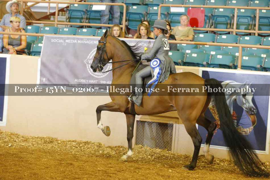 Proof 15YN_02067