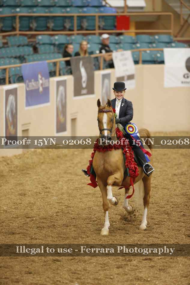 Proof 15YN_02068
