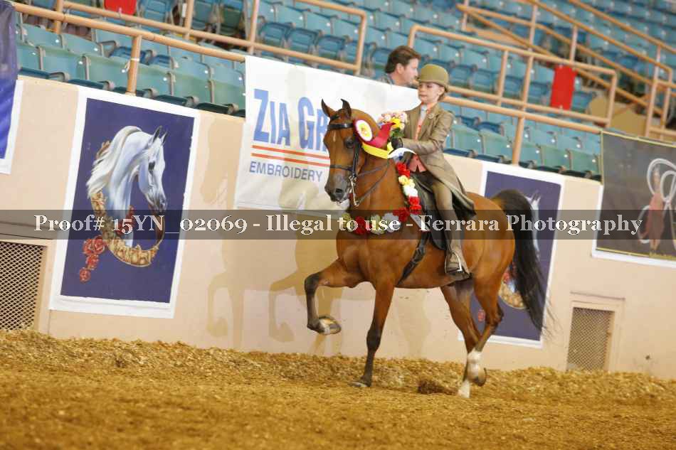 Proof 15YN_02069