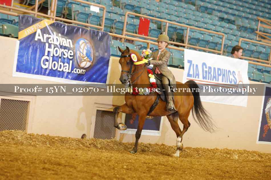 Proof 15YN_02070