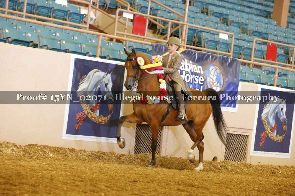 Proof 15YN_02071