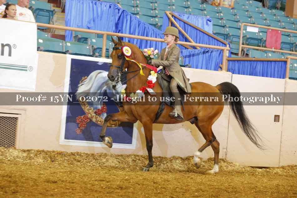 Proof 15YN_02072
