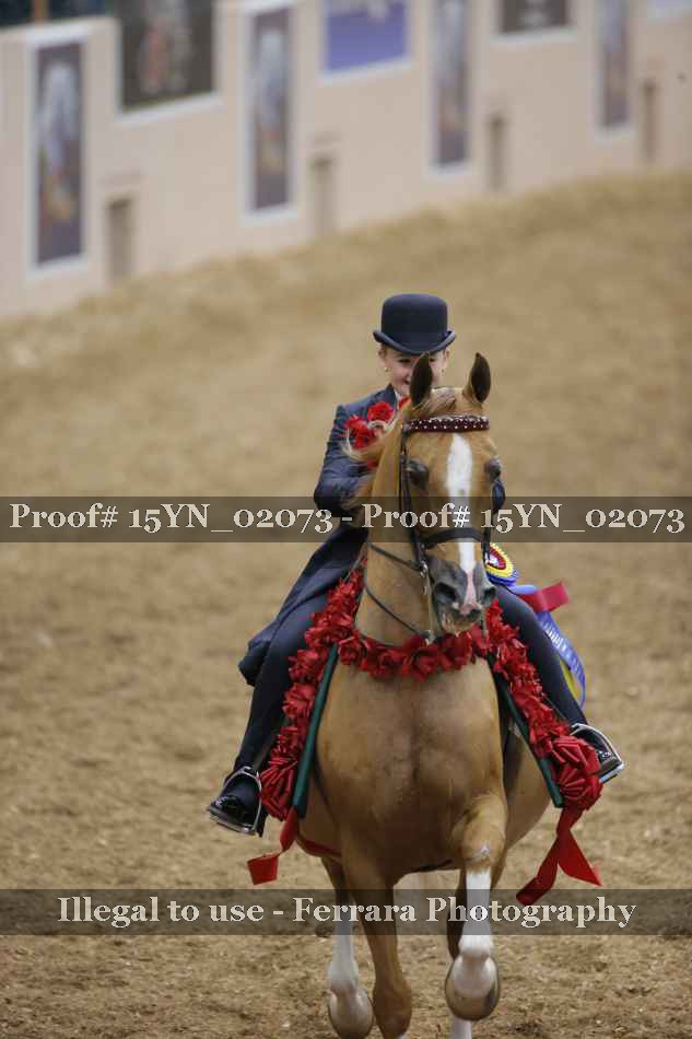Proof 15YN_02073