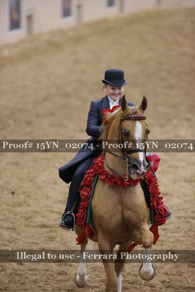 Proof 15YN_02074