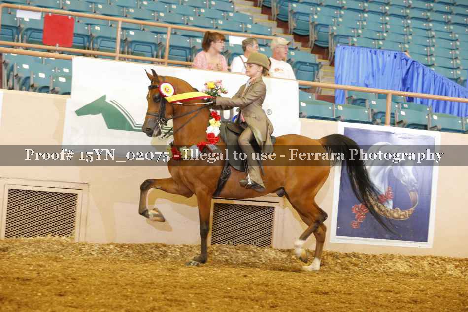 Proof 15YN_02075