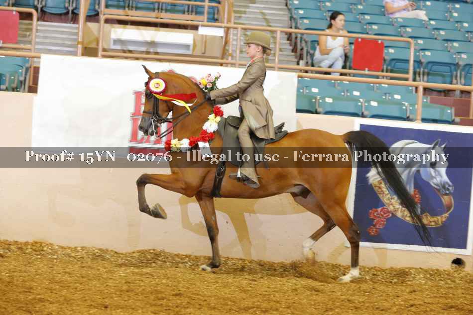 Proof 15YN_02076