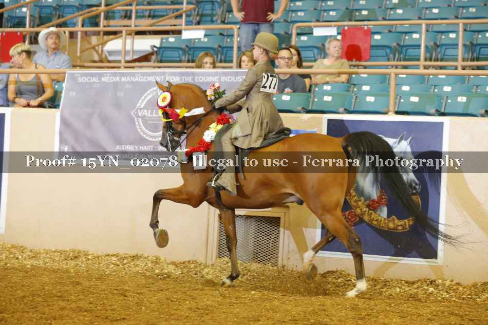 Proof 15YN_02078
