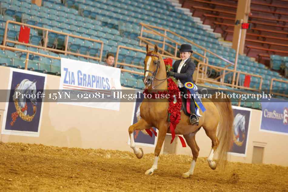 Proof 15YN_02081