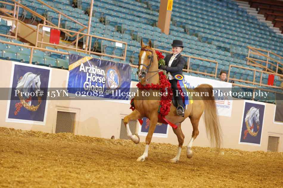 Proof 15YN_02082