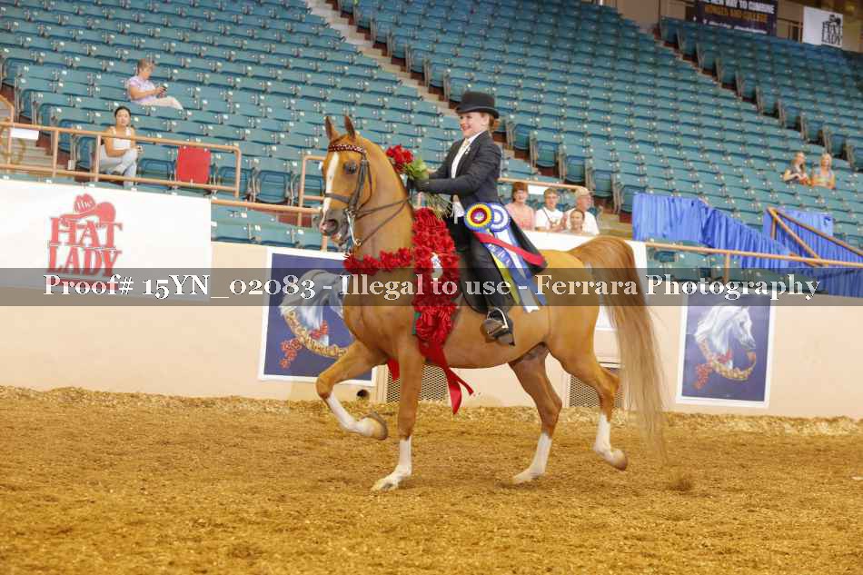 Proof 15YN_02083