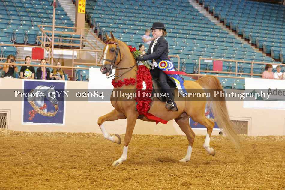 Proof 15YN_02084