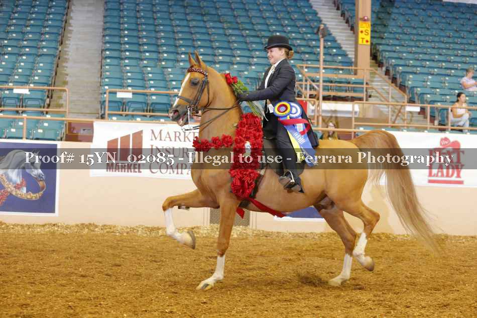 Proof 15YN_02085