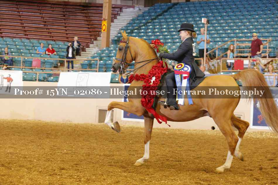 Proof 15YN_02086