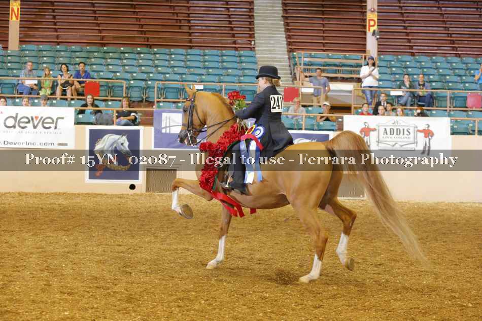 Proof 15YN_02087