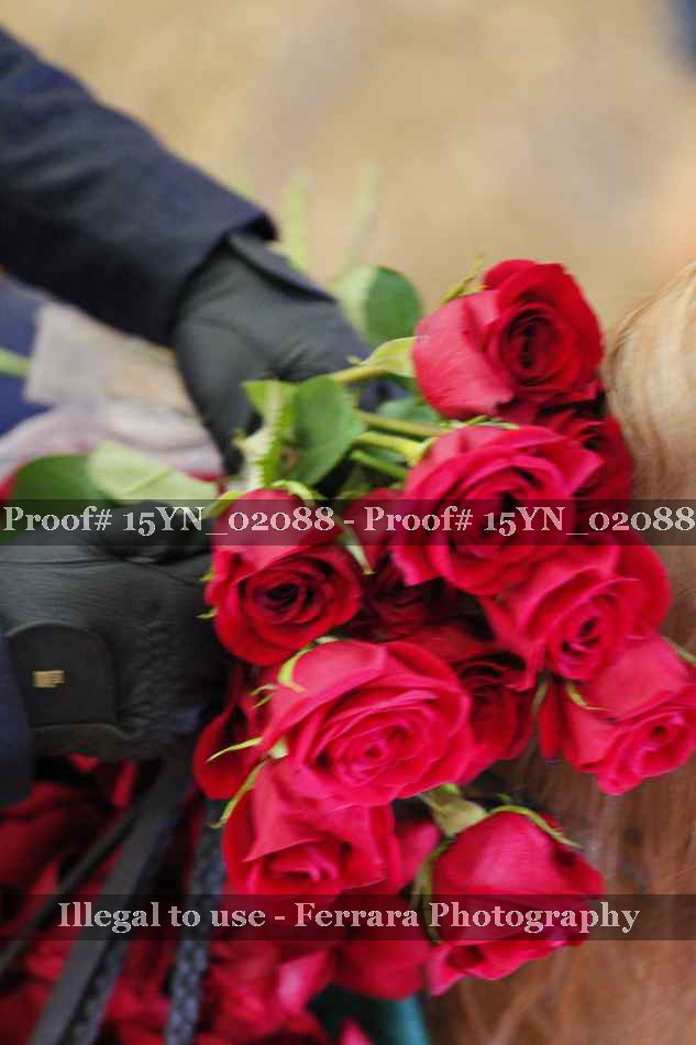 Proof 15YN_02088