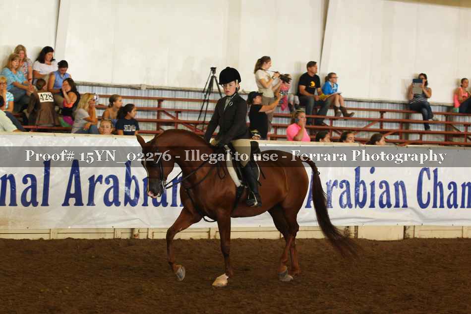 Proof 15YN_02276