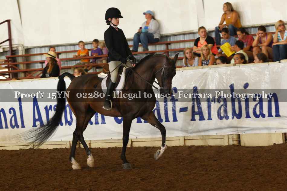Proof 15YN_02280