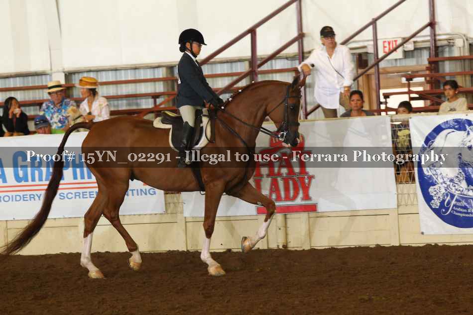 Proof 15YN_02291