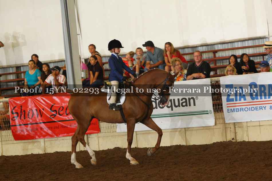 Proof 15YN_02293
