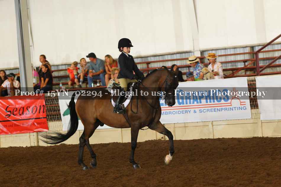 Proof 15YN_02294