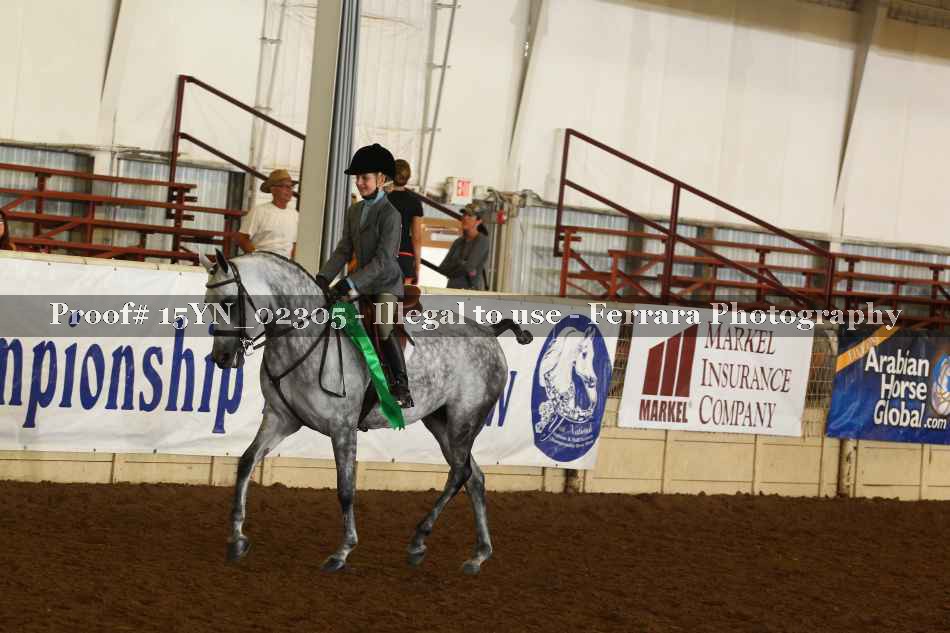 Proof 15YN_02305