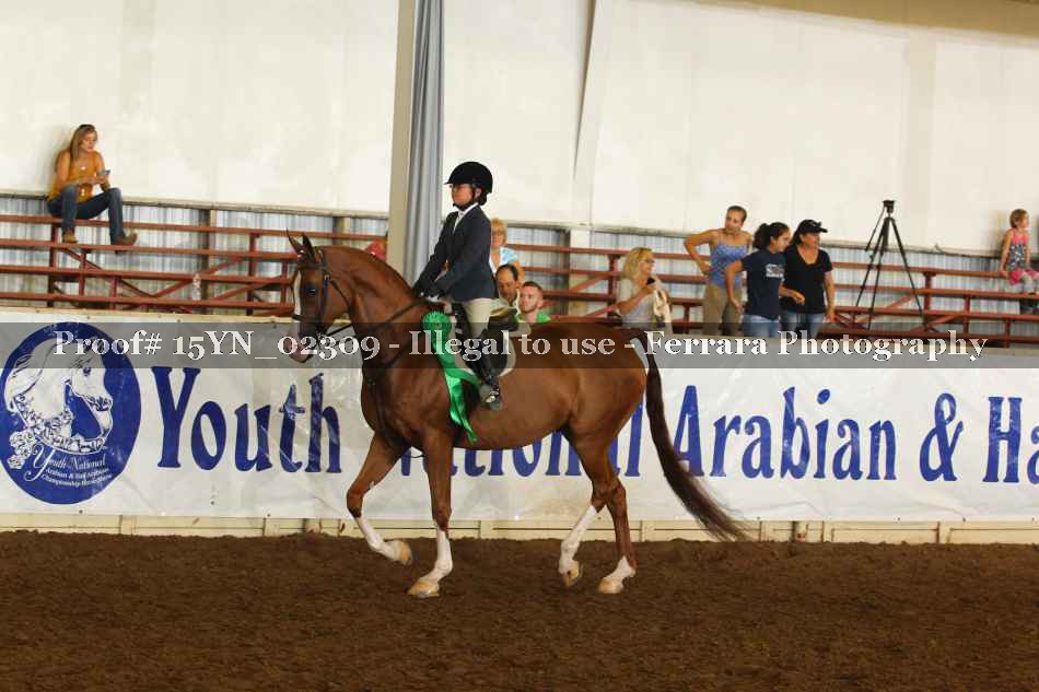 Proof 15YN_02309