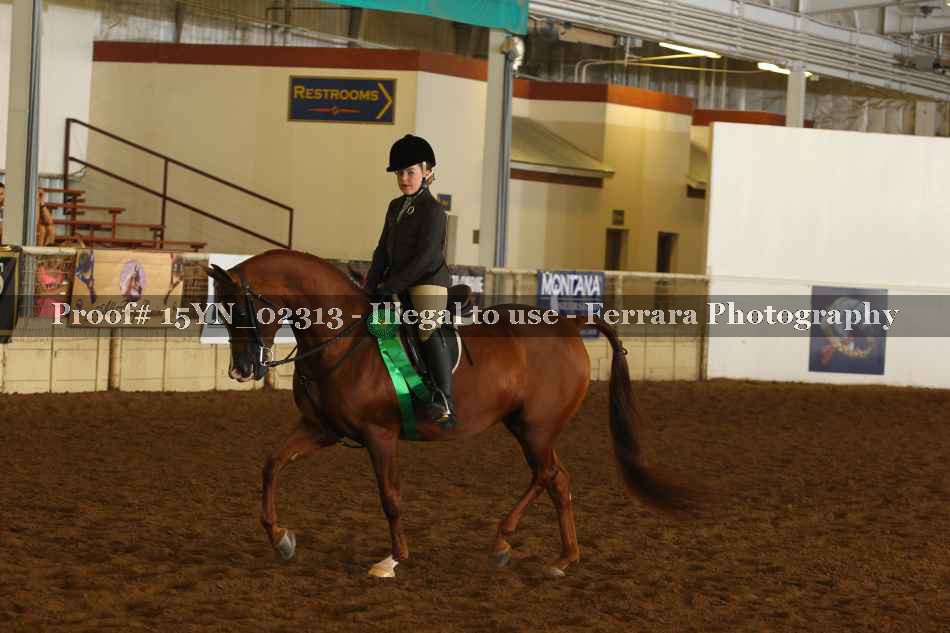 Proof 15YN_02313