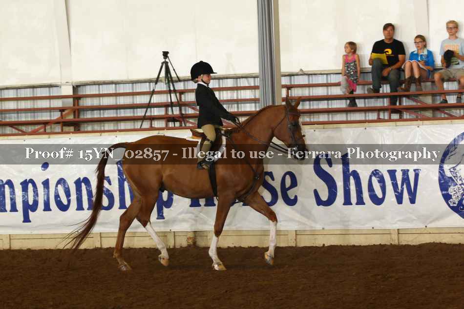 Proof 15YN_02857