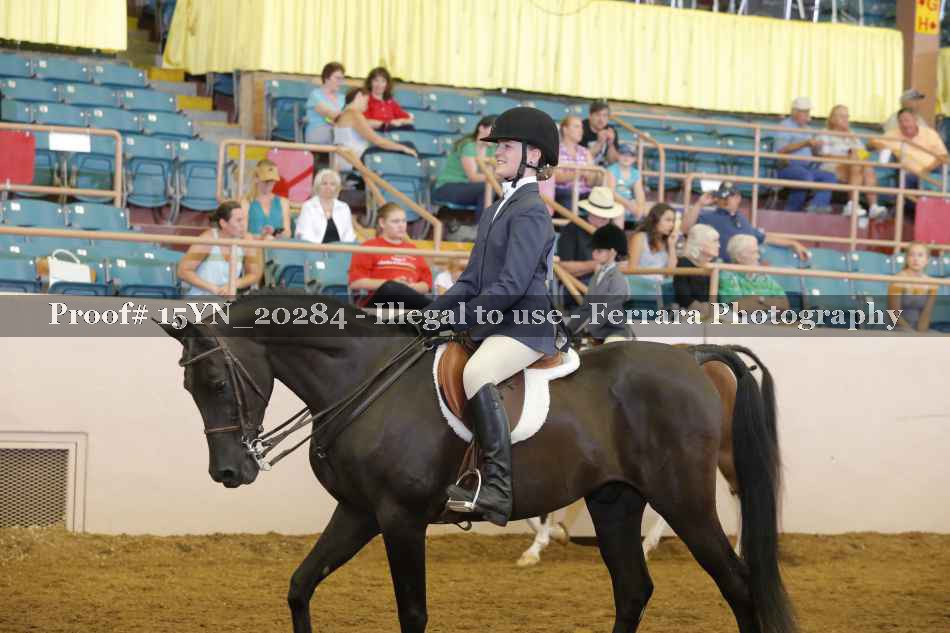 Proof 15YN_20284