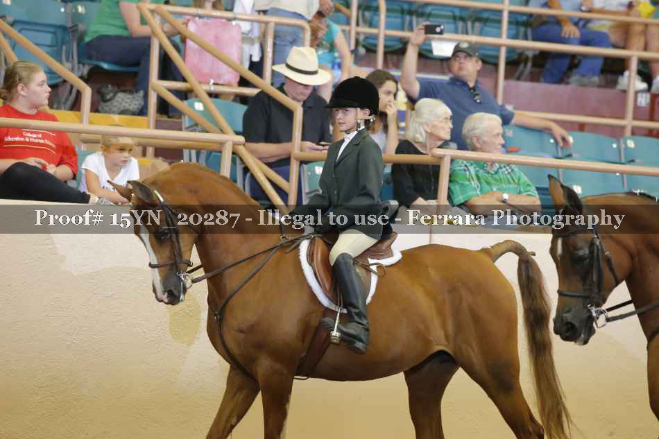 Proof 15YN_20287