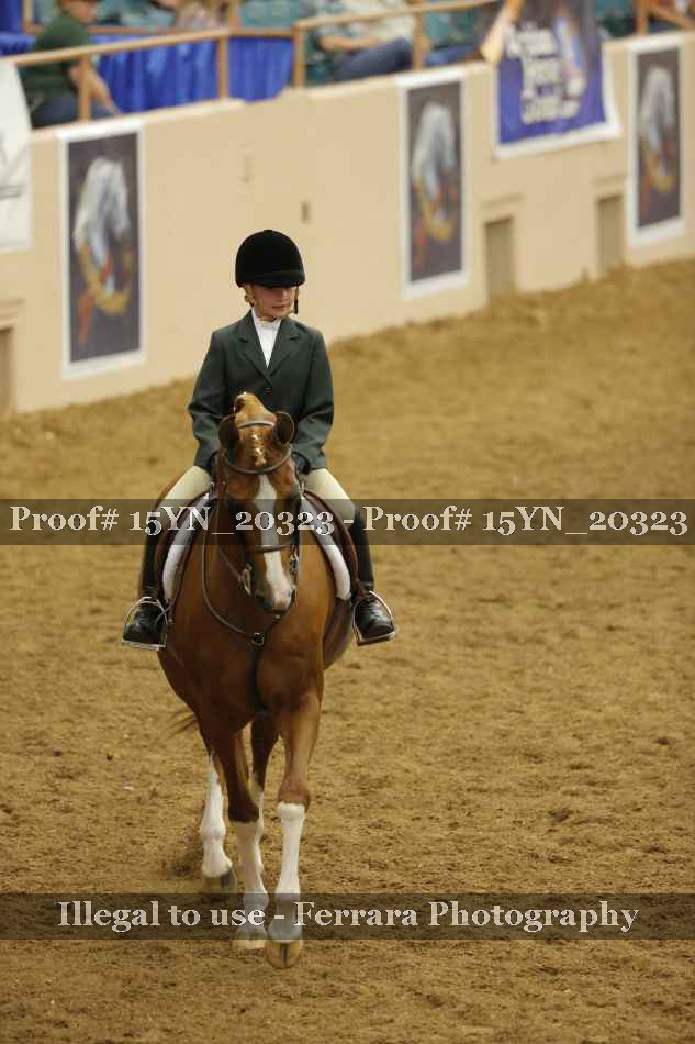Proof 15YN_20323
