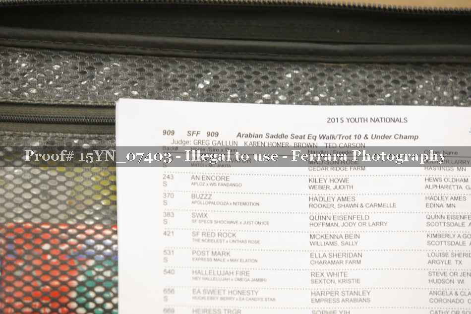 Proof 15YN_07403