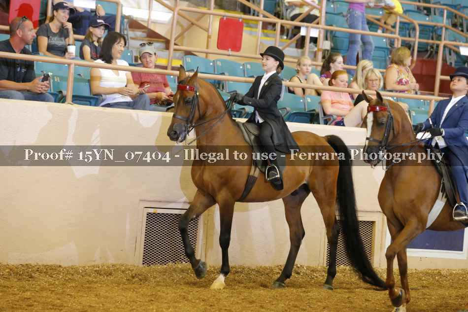 Proof 15YN_07404