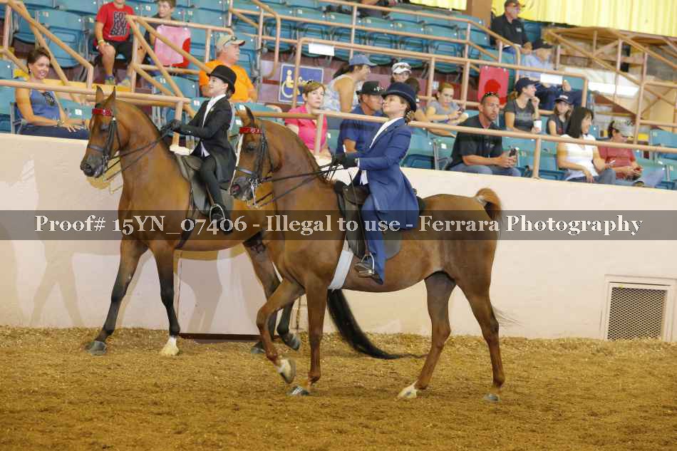 Proof 15YN_07406