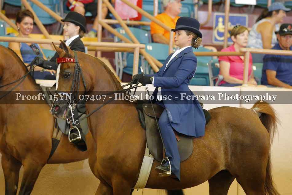 Proof 15YN_07407