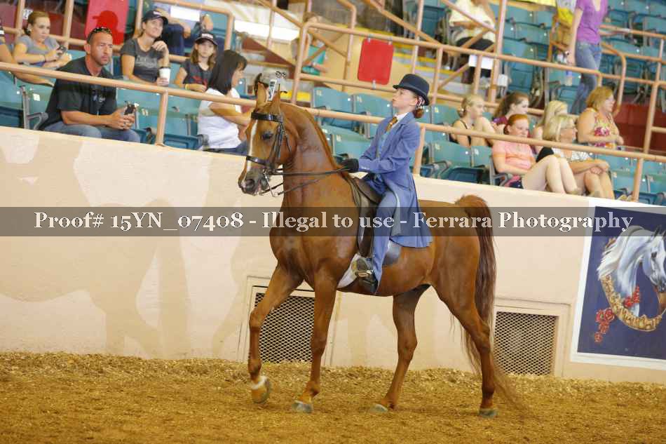 Proof 15YN_07408