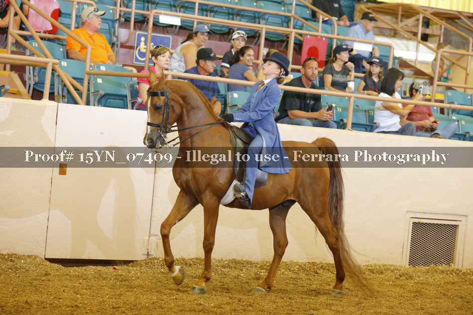 Proof 15YN_07409