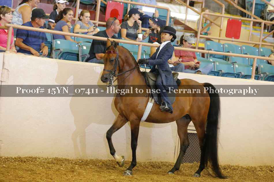 Proof 15YN_07411