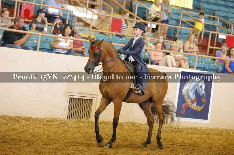 Proof 15YN_07414