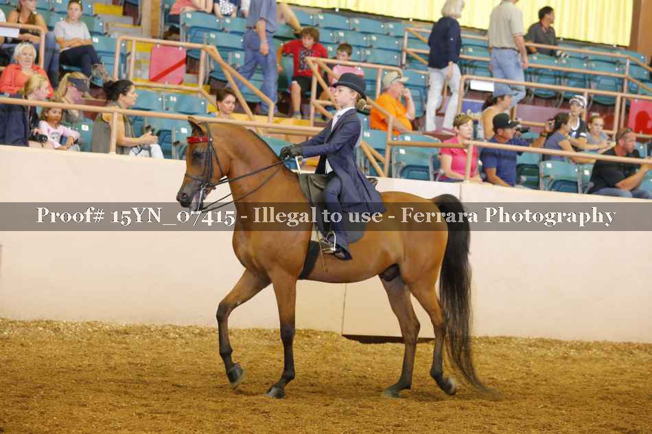 Proof 15YN_07415