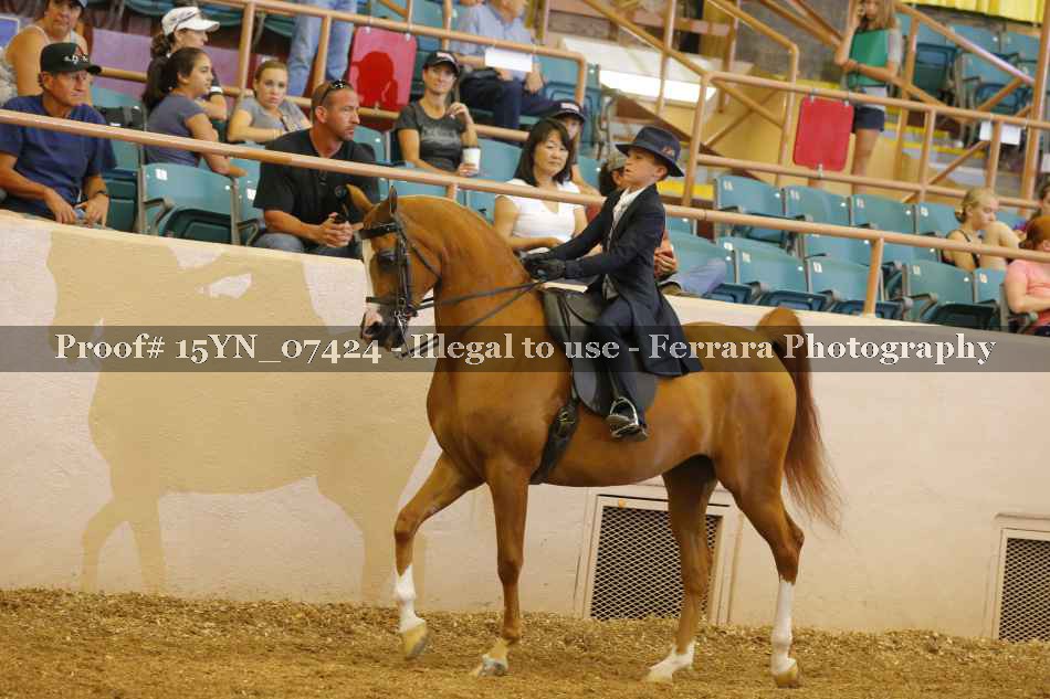 Proof 15YN_07424