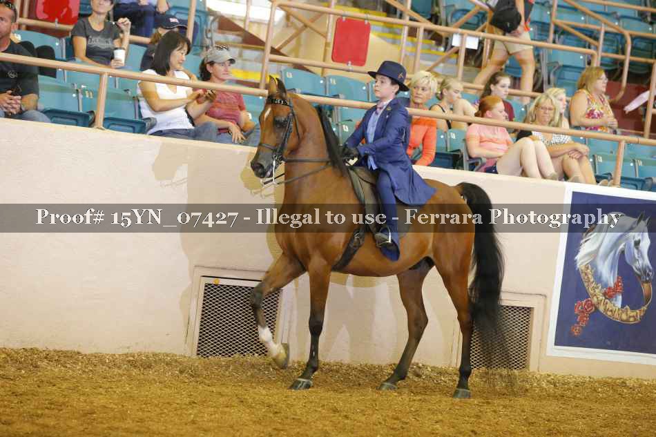 Proof 15YN_07427