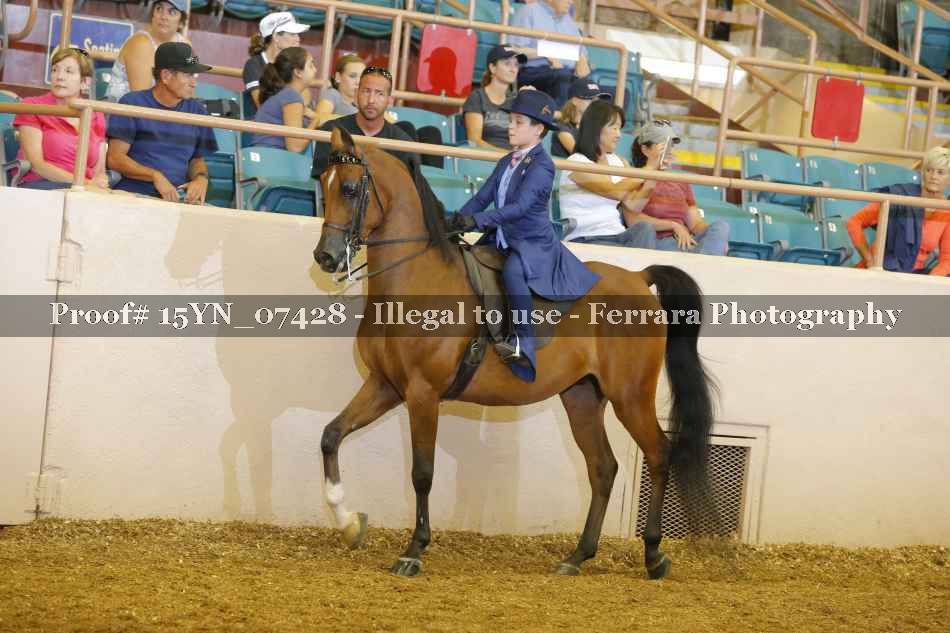 Proof 15YN_07428