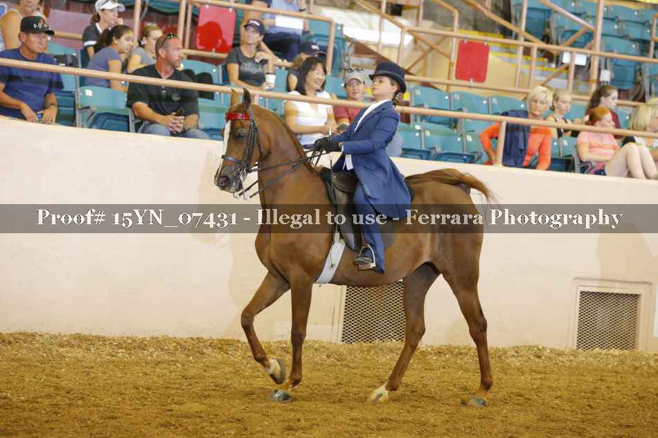 Proof 15YN_07431