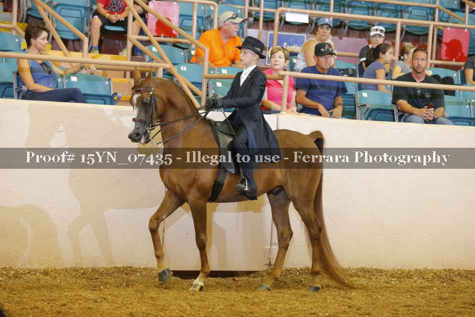 Proof 15YN_07435