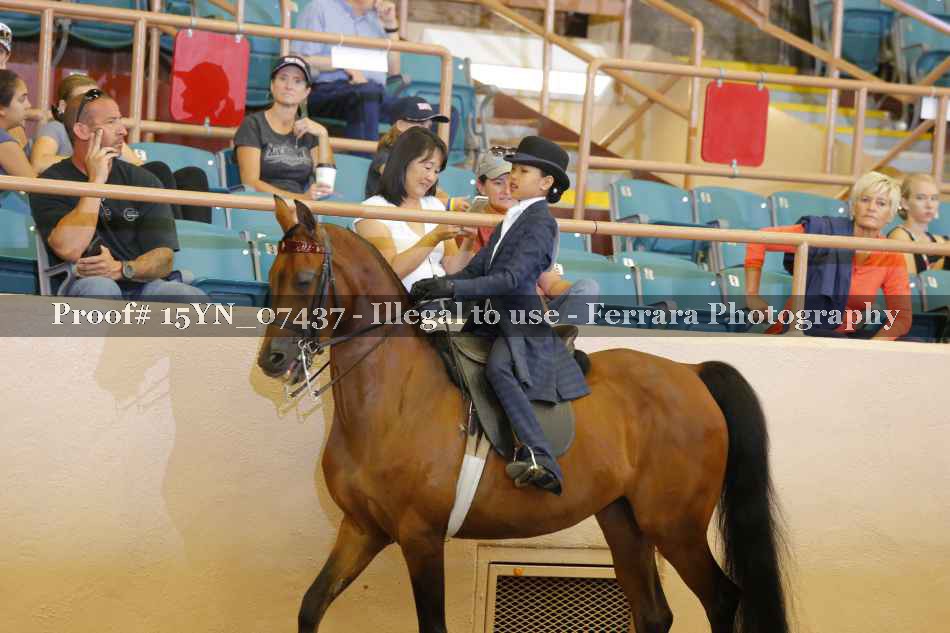 Proof 15YN_07437
