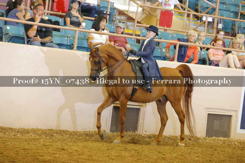 Proof 15YN_07438
