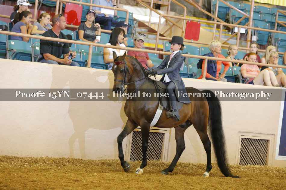Proof 15YN_07444